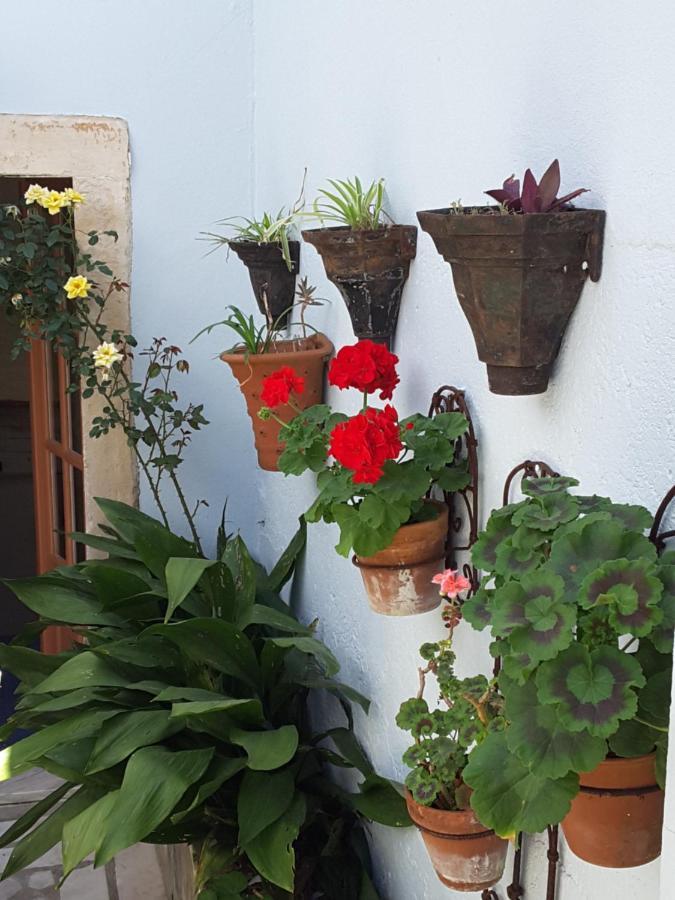 Rua das Rosas 22/B&B Figueira da Foz Bagian luar foto